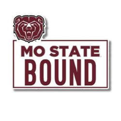 Color Shock Bear Head MO State Bound Lawn Sign