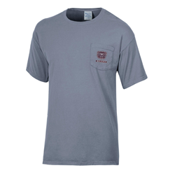 Comfort Wash Bear Head BEARS Gray Tee