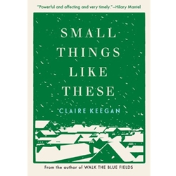 STREAMLINED ENG 200 SMALL THINGS LIKE THESE EBOOK