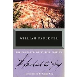 STREAMLINED ENG 559/659 SOUND & FURY EBOOK