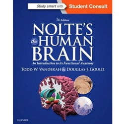 *OLD ED*NOLTE'S THE HUMAN BRAIN