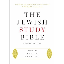 STREAMLINED REL 101 THE JEWISH STUDY BIBLE EBOOK
