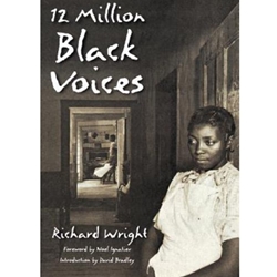 12 MILLION BLACK VOICES