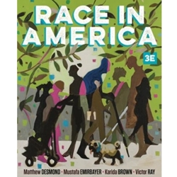 STREAMLINED SOC 336 RACE IN AMERICA EBOOK