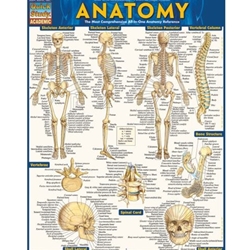 QUICKSTUDY*ANATOMY