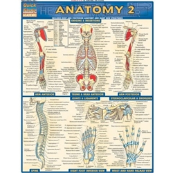 QUICKSTUDY*ANATOMY 2