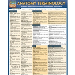 QUICKSTUDY*ANATOMY TERMINOLOGY