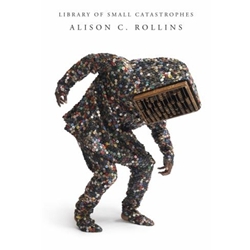 LIBRARY OF SMALL CATASTROPHES