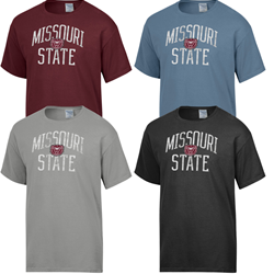 Comfort Wash Missouri Bear Head State Tee