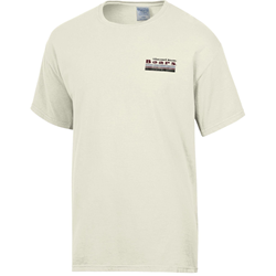 Comfort Wash Missouri State Bears Cream Tee