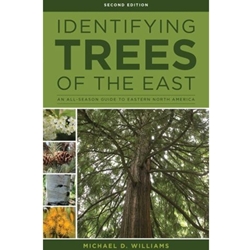 STREAMLINED BIO 339/730 IDENTIFYING TREES OF THE EAST EBOOK