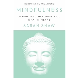 STREAMLINED REL 358 MINDFULNESS: WHERE IT COMES FROM AND WHAT IT MEANS EBOOK