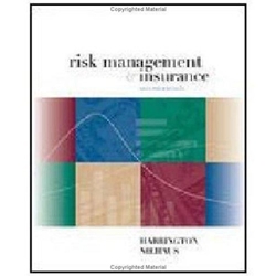 RISM MANAGEMENT AND INSURANCE