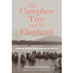 THE CAMPHOR TREE AND THE ELEPHANT