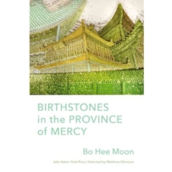 STREAMLINED ENG 503/607 BIRTHSTONES IN THE PROVINCE OF MERCY EBOOK