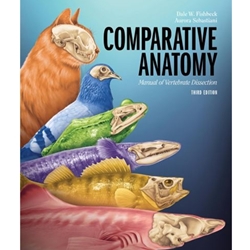 COMPARATIVE ANATOMY -LL