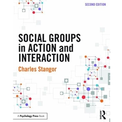 SOCIAL GROUPS IN ACTION AND INTERACTION